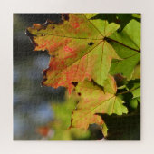 Farbige Herbstlaube Puzzle (Horizontal)