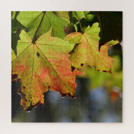 Farbige Herbstlaube Puzzle