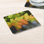 Farbige Herbstlaube Rechteckiger Pappuntersetzer (angewinkelt)