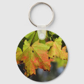 Farbige Herbstlaube Schlüsselanhänger (Vorderseite)