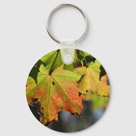 Farbige Herbstlaube Schlüsselanhänger (Vorderseite)