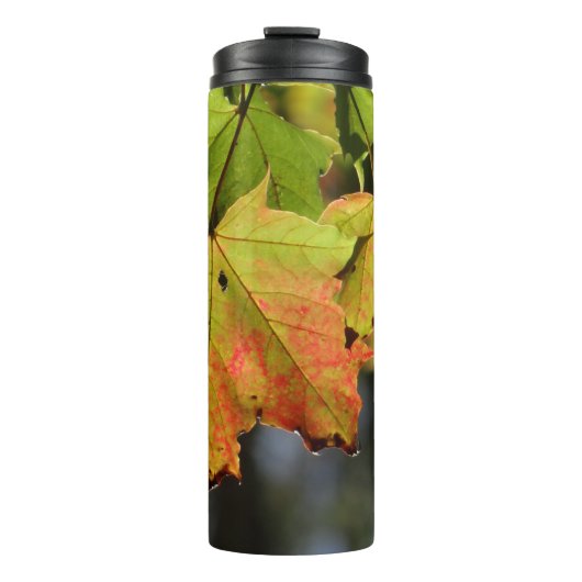 Farbige Herbstlaube Thermosbecher (Vorderseite)