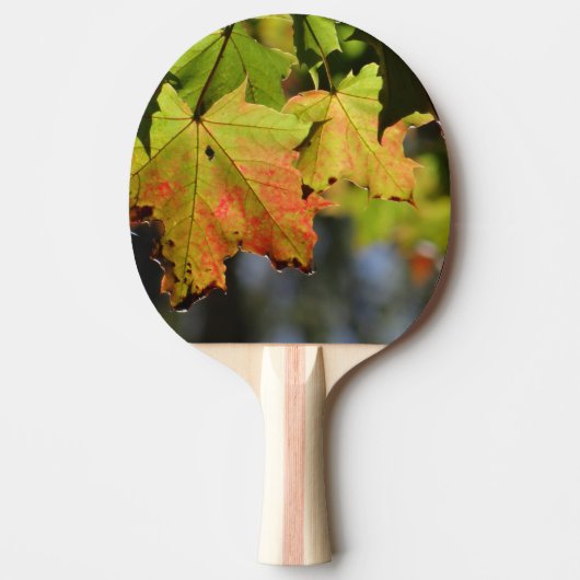 Farbige Herbstlaube Tischtennis Schläger (Vorderseite)