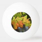 Farbige Herbstlaube Tischtennisball (Vorderseite)