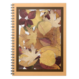 Farbige Herbstleaves Collage Brown Orange Gerahmt Notizblock