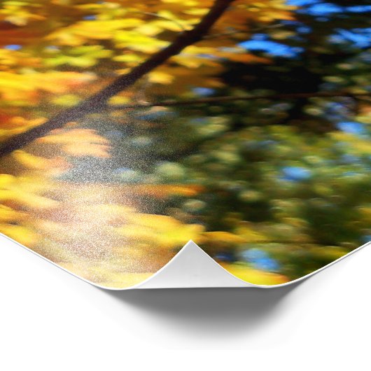 Farbige Herbstleaves Foto Poster (Ecke)