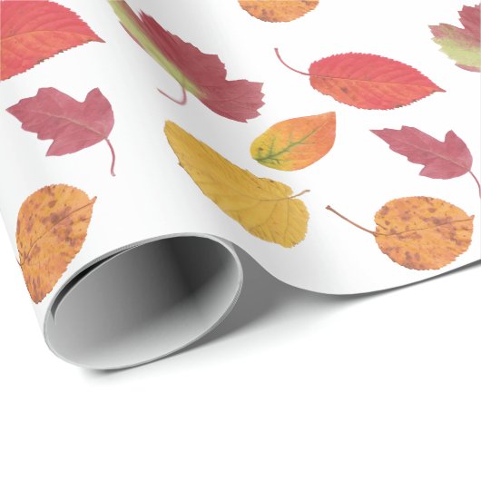 Farbige Herbstleaves Muster / Fallfolien Geschenkpapier (Rolleneckpunkt)