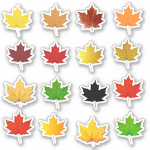 Farbige Herbstmapselleaf wasserdichte Labels