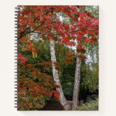 Farbige Herbstverlässe Foto Notizblock (Vorderseite)
