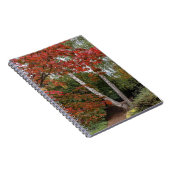 Farbige Herbstverlässe Foto Notizblock (Rechte Seite)