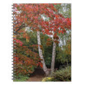 Farbige Herbstverlässe Foto Notizblock (Vorderseite)