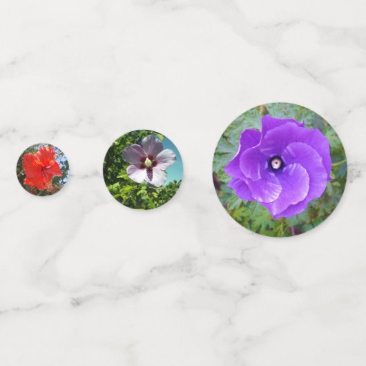 Farbige Hibiskus-Blume, Konfetti (Vorderseiten)