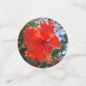 Farbige Hibiskus-Blume, Konfetti (Klein Vorderseite)