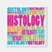 Farbige Histologie Magnet (Vorne)