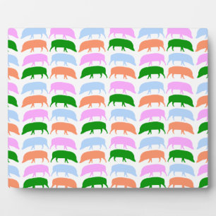 Farbige Hogs Pink Blue Green Orange Plaque Fotoplatte