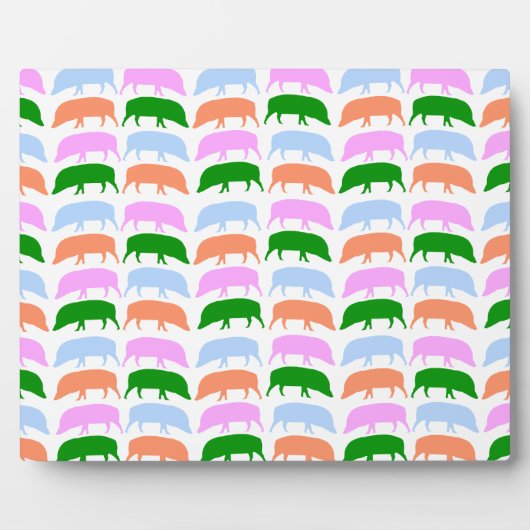 Farbige Hogs Pink Blue Green Orange Plaque Fotoplatte (Vorderseite)