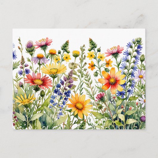 Farbige hübsche Wildblumen Aquarellmalerei Postkarte (Vorderseite)