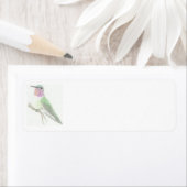 Farbige Hummingbird-Zeichn (Insitu)