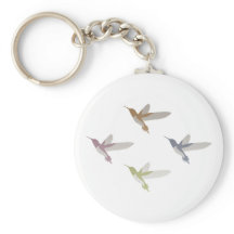 Farbige Hummingvögel