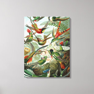 Farbige Hummingvögel Vintag gezackte Canvas drucke