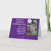 Farbige Hydrangea-Blume Karte (Rückseite)