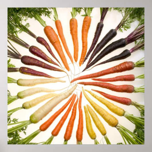 Farbige Karotten Poster (Vorne)
