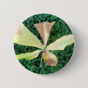 Farbige Kastanienblätter Button