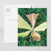 Farbige Kastanienblätter Postkarte (Vorne/Hinten)