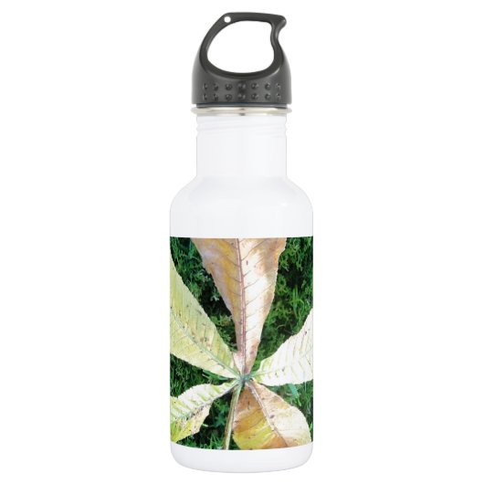 Farbige Kastanienblätter Trinkflasche (Vorderseite)