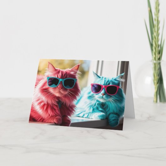 Farbige Katzen Karte (Vorderseite)