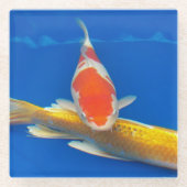 Farbige Koi im blauen Pool Glasuntersetzer (Vorderseite)