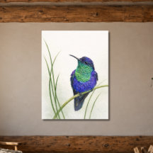 Farbige Kronen-Waldnymphe-Kolibri