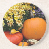 Farbige Kürbisschmuck Untersetzer (Vorne)