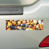 Farbige Kürbisse C Autoaufkleber (Auf Auto)