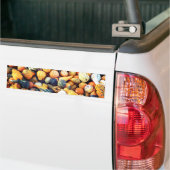 Farbige Kürbisse C Autoaufkleber (Auf Lkw)