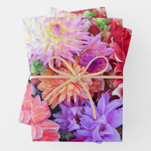 Farbige Lebendige Dahlienblumen Geschenkpapier Set