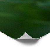 Farbige Lila Zinnia-Blume inspirierend Zitat Poster (Ecke)