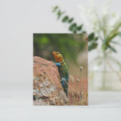Farbige Lizard Postkarte (Stehend Vorderseite)