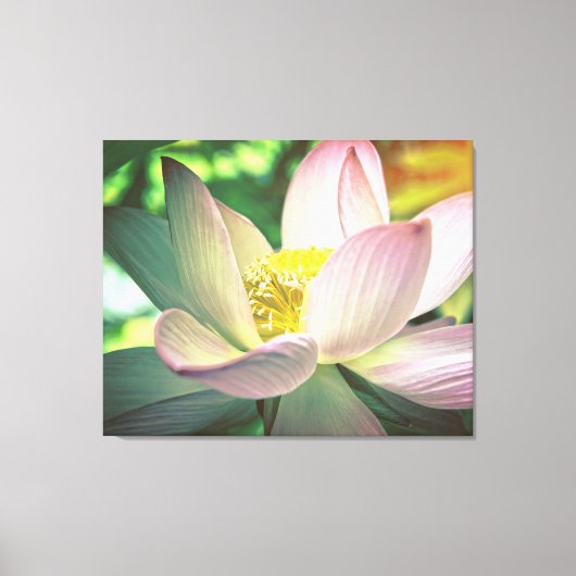 Farbige Lotus-Blume Leinwanddruck (Vorderseite)
