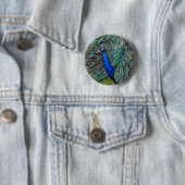 Farbige männliche Pfau Button (Beispiel)