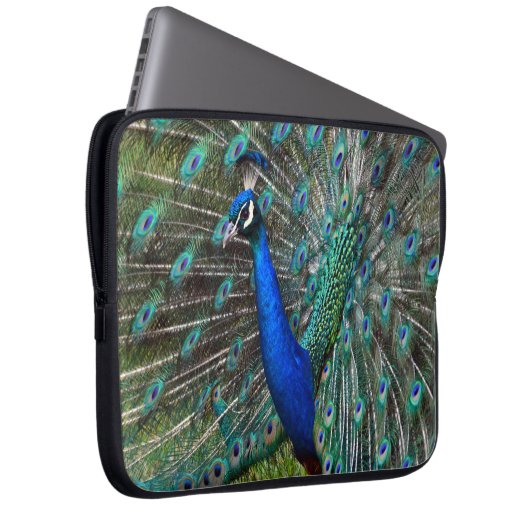 Farbige männliche Pfau Laptopschutzhülle (Vorne Rechts)