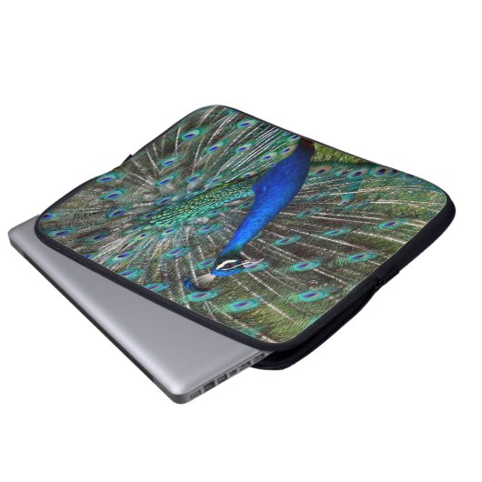 Farbige männliche Pfau Laptopschutzhülle (Vorne Knopf)