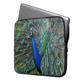 Farbige männliche Pfau Laptopschutzhülle (Vorderseite Links)