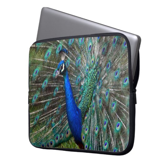 Farbige männliche Pfau Laptopschutzhülle (Vorderseite Links)