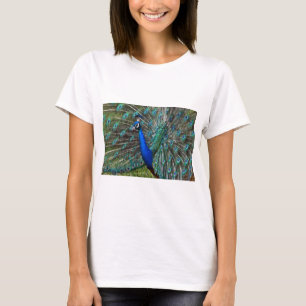 Farbige männliche Pfau T-Shirt