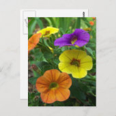 Farbige Million Bells Blumenkarte Postkarte (Vorne/Hinten)