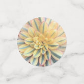 Farbige Mischung von Sukkulenten Konfetti (Klein Vorderseite)