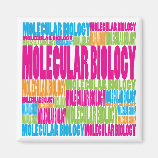 Farbige Molekularbiologie Magnet (Vorne)