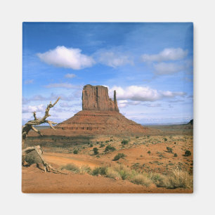 Farbige Monument Valley Handschuhe in Utah USA Magnet
