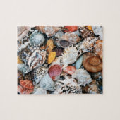 Farbige Muscheln Puzzle (Horizontal)